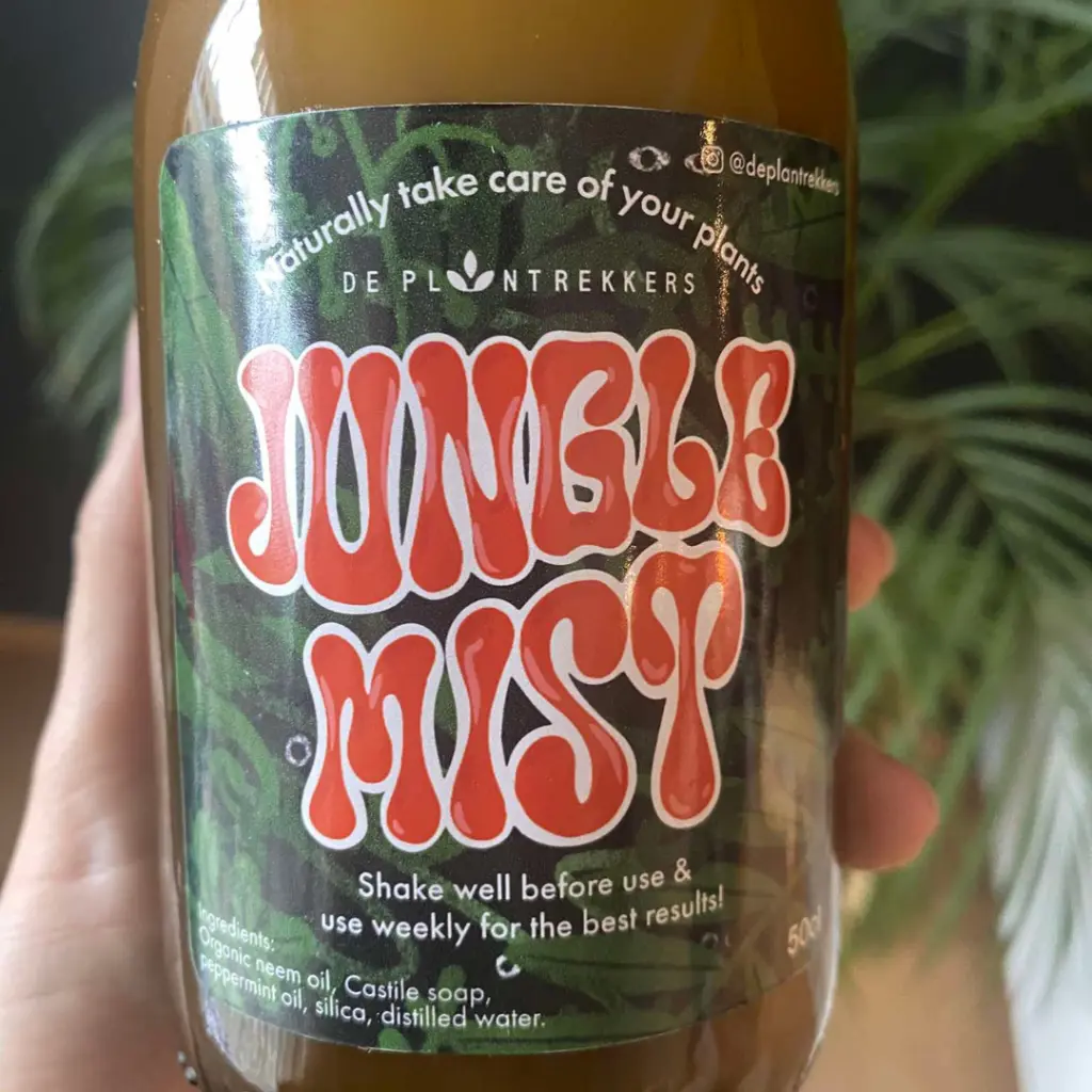 Webshop Afbeeldingen (6).webp