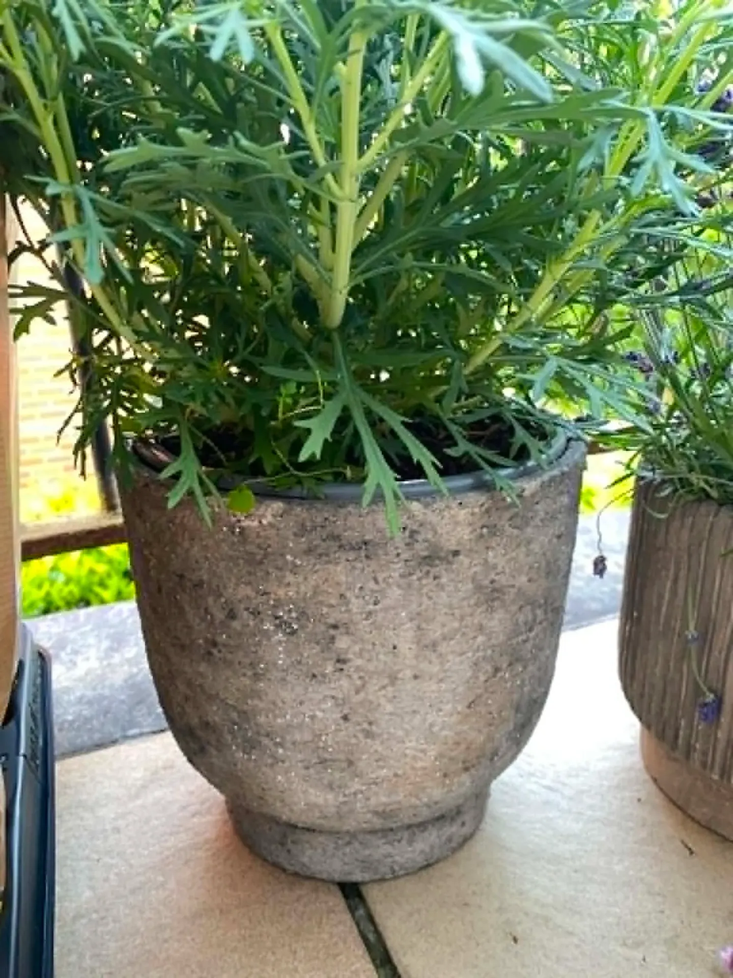 Pot Buiten L