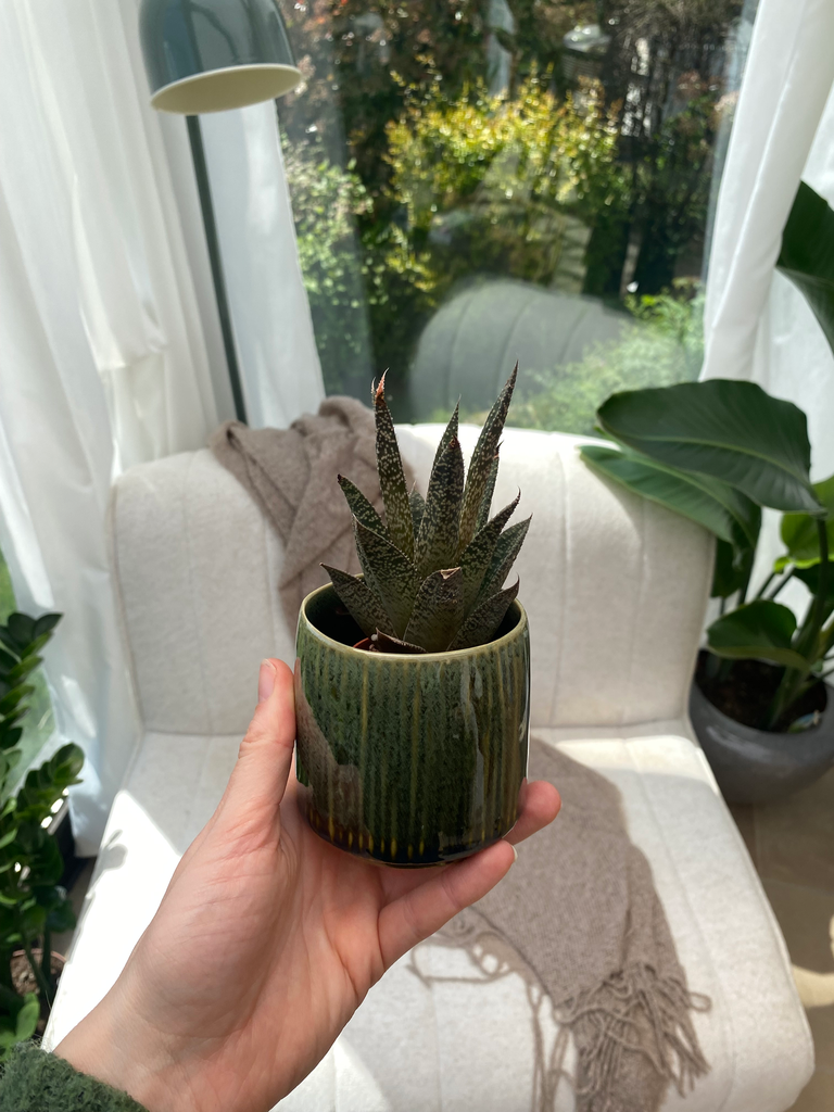 Pot Keramisch Groen XS