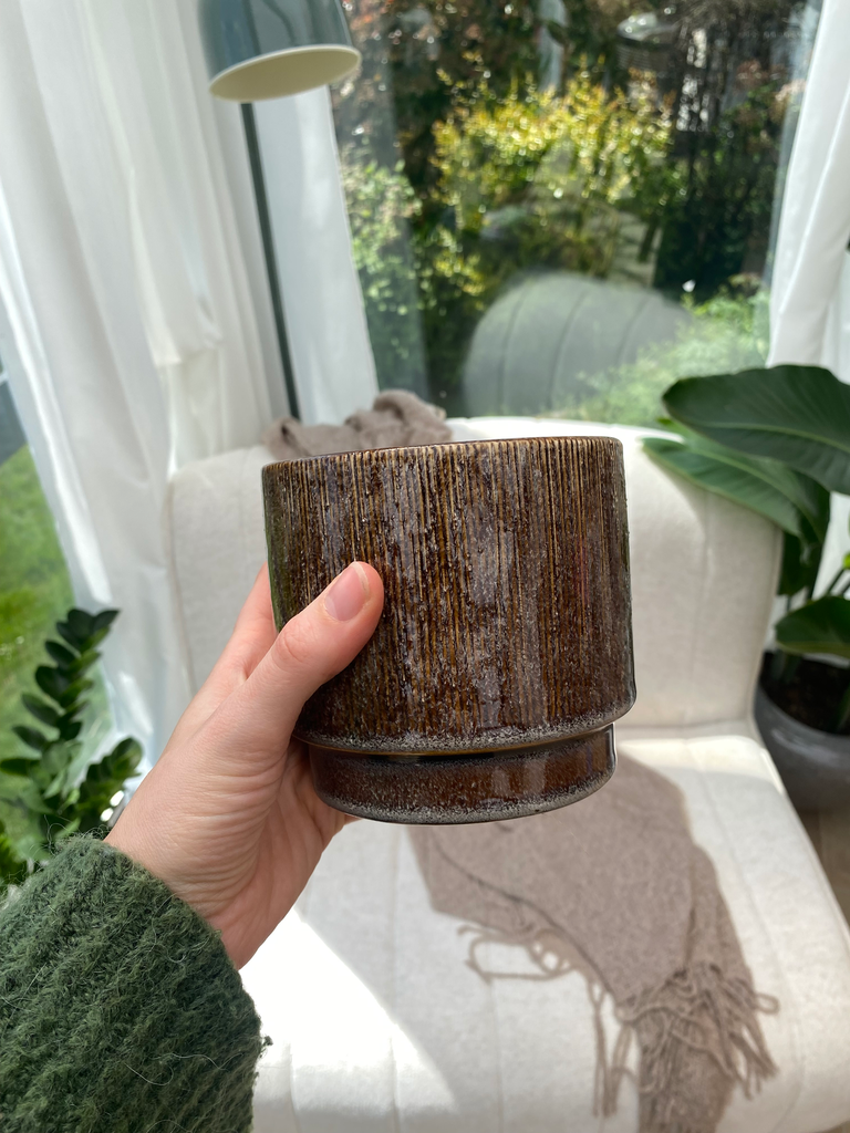 Pot Bruin S