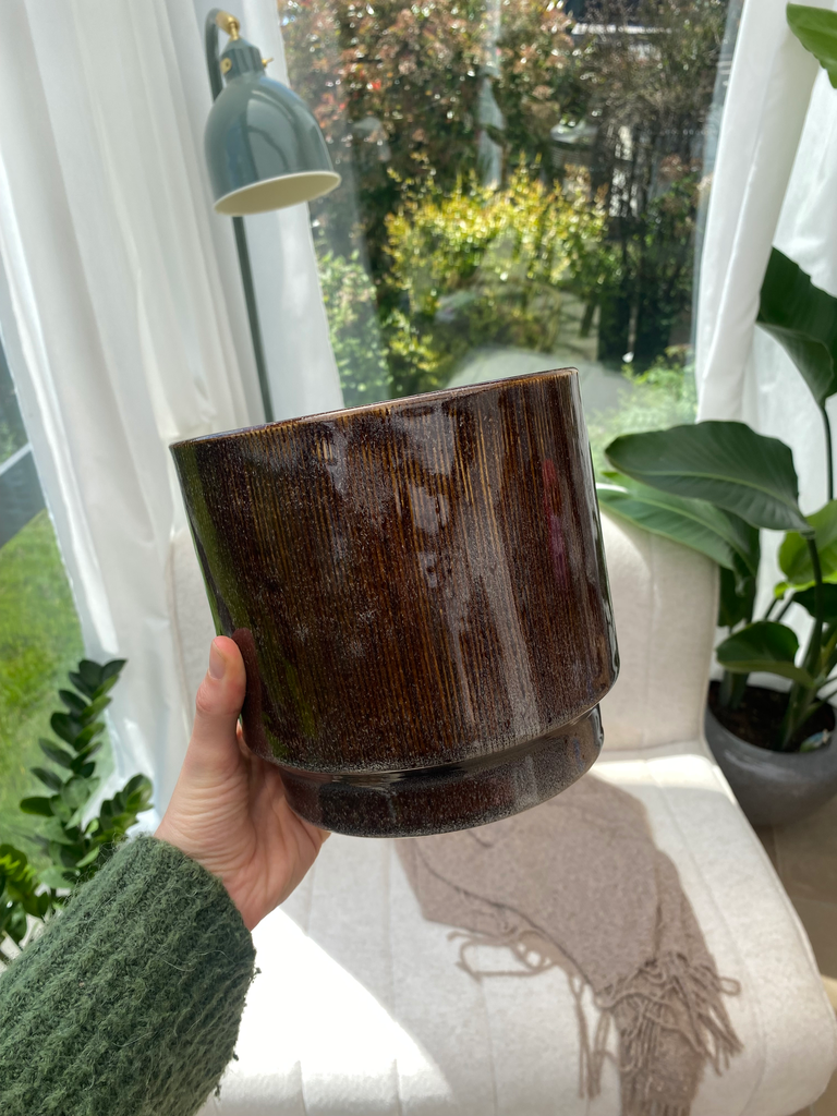 Pot Bruin M