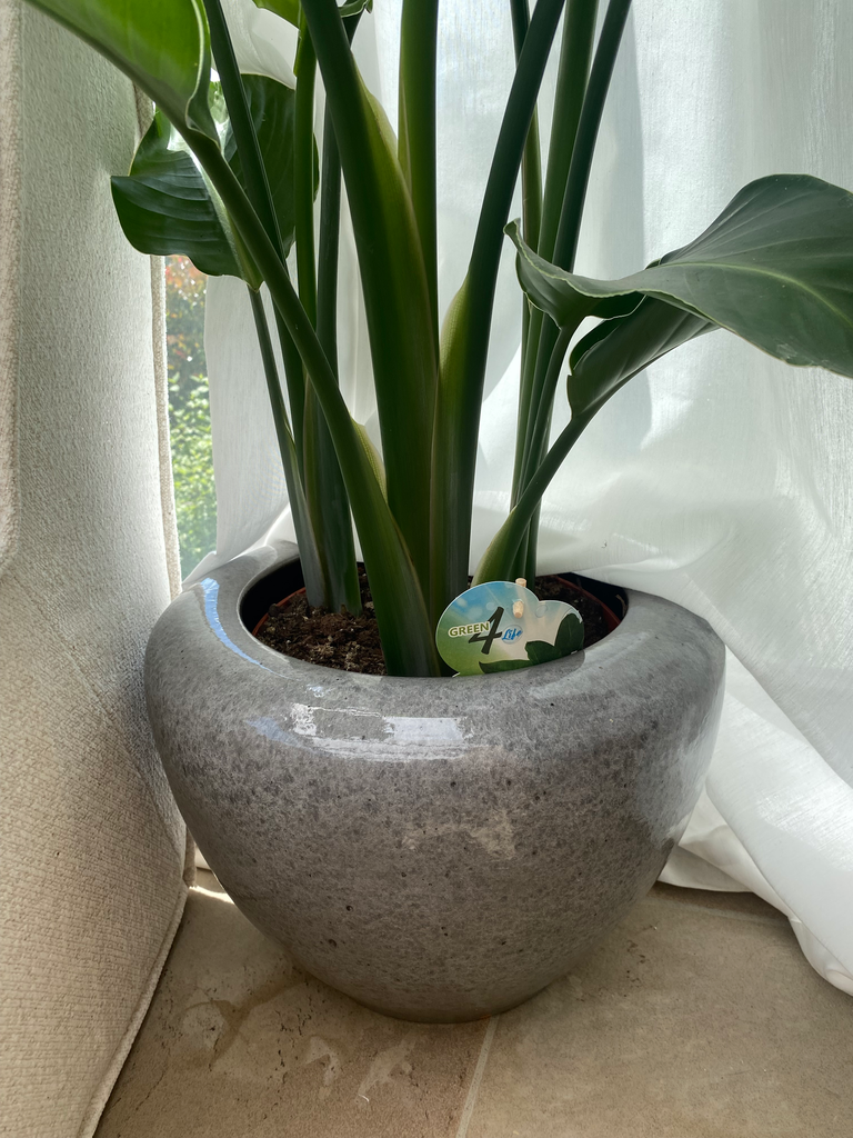 Pot Blauw-Grijs L