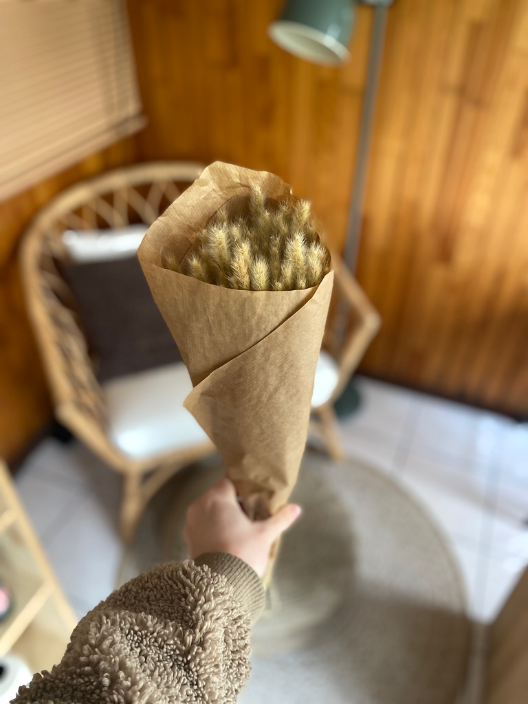 Droogbloemen Polypogon Natural