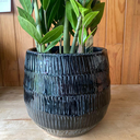 Pot Light Conic Zwart