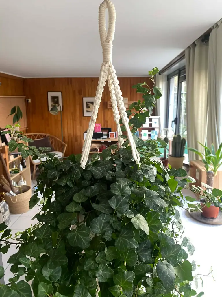 Macrame Plant Hanger Sanna