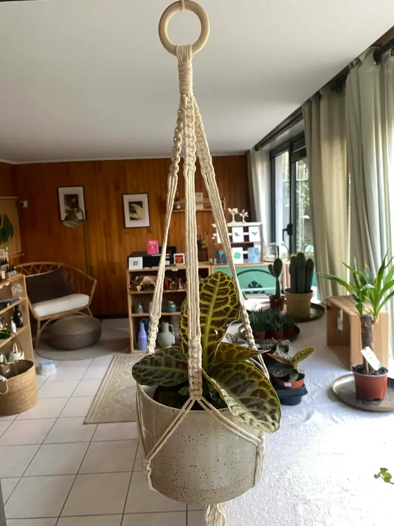 Macrame Plant Hanger Lima