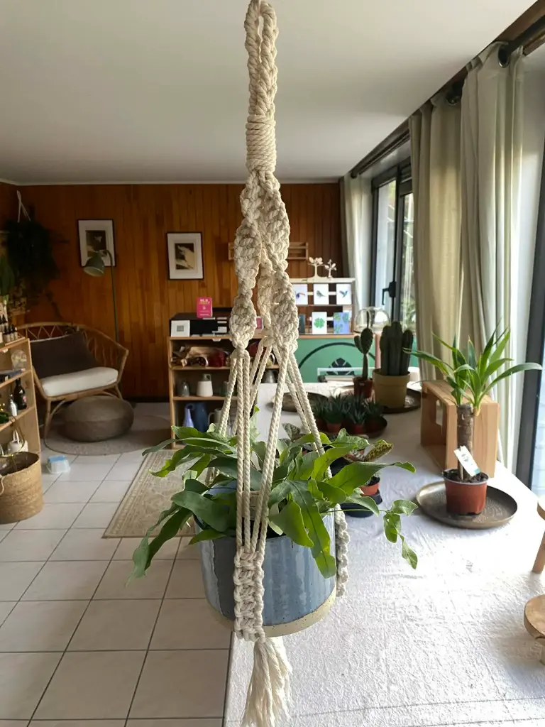 Macramé Plant Hanger Havana