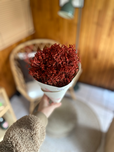 Droogbloemen Gyps Dried Rood