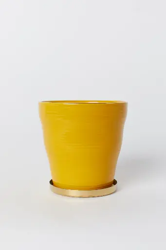 Pot Geel Zonnebloem
