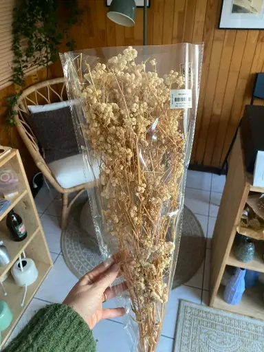 Droogbloemen Gypsophilia White